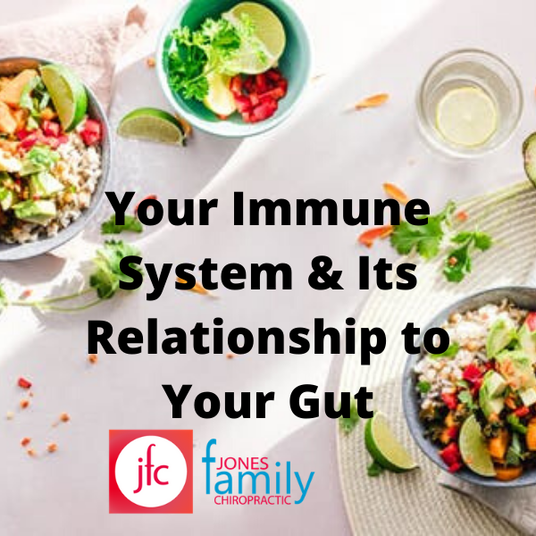 You are currently viewing Your Immune System & Its Relationship to Your Gut – Dr. Jason Jones Elizabeth City NC Chiropractor