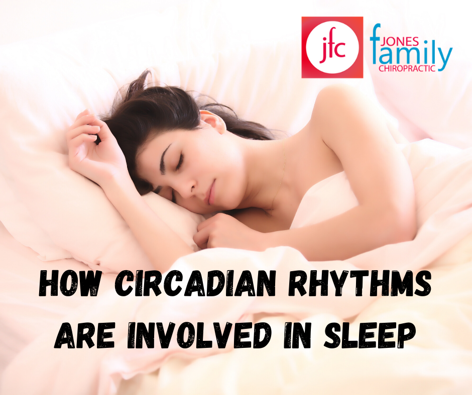 Read more about the article How Circadian Rhythms are involved in Sleep – Dr. Jason Jones Elizabeth City, Chiropractor