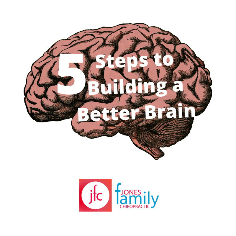 You are currently viewing Neuroplasticity and Neurogenesis, 5 Strategies to build a better brain – Dr. Jason Jones Elizabeth City NC, Chiropractor