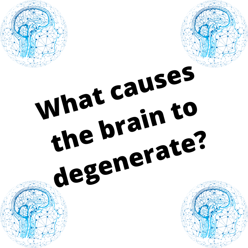 Read more about the article What causes the brain to degenerate? – Dr. Jason Jones Elizabeth City NC, Chiropractor