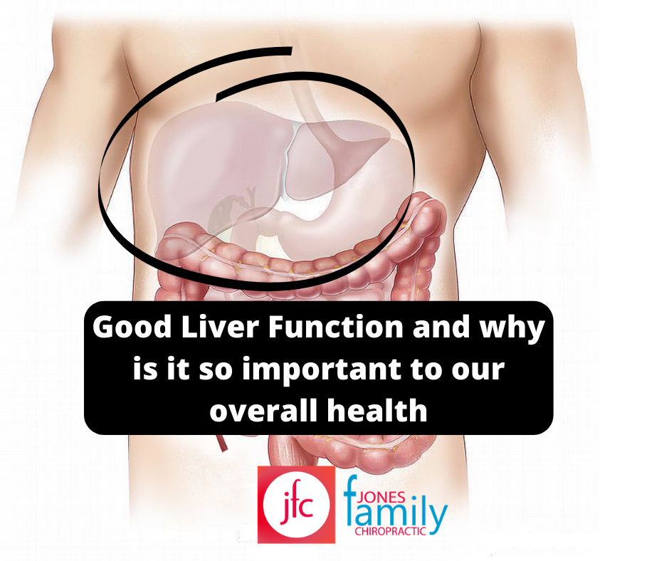You are currently viewing Good Liver Functions and why is it so important to our overall health- Dr. Jason Jones Elizabeth City, NC Chiropractor