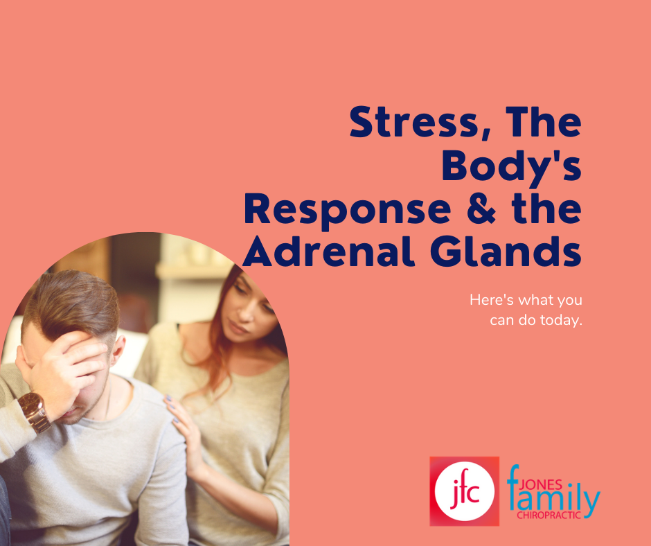 You are currently viewing Stress, the body’s response, and the adrenal glands- Dr. Jason Jones Elizabeth City NC, Chiropractor