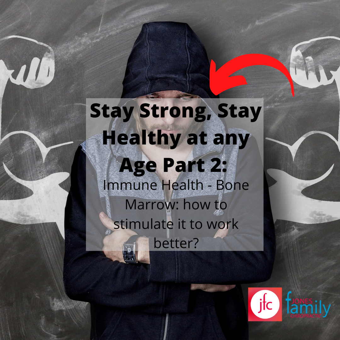 Read more about the article Stay Strong, Stay Healthy at any Age Part 2:  Immune Health – Bone Marrow: how to stimulate it to work better? – Dr. Jason Jones Elizabeth City NC, Chiropractor