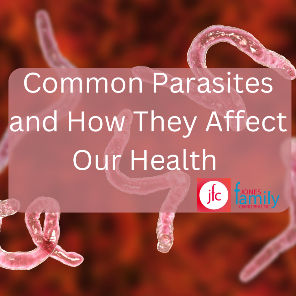 parasites-common-parasites-and-how-they-affect-our-health-dr-jason