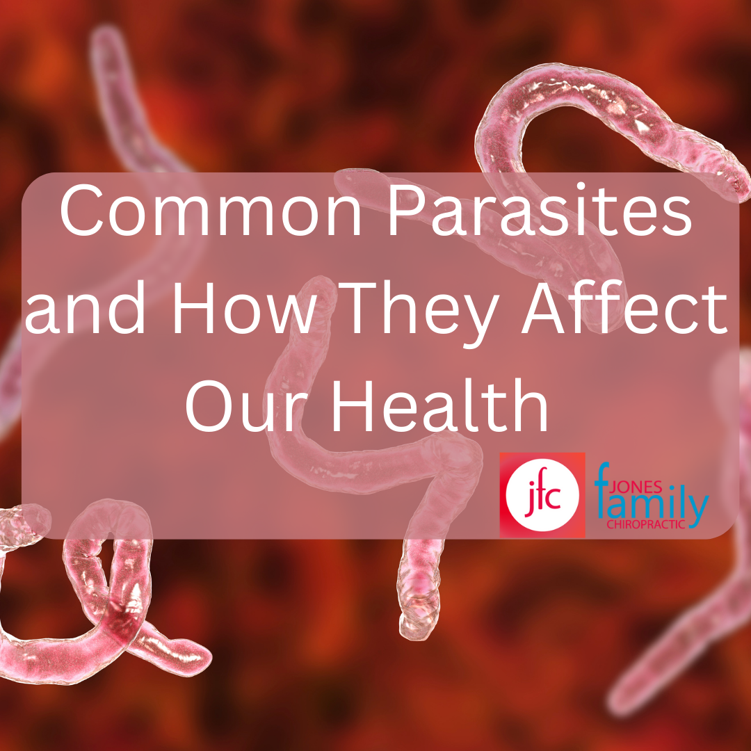 You are currently viewing Parasites: Common Parasites and How They Affect Our Health – Dr. Jason Jones Elizabeth City NC, Chiropractor