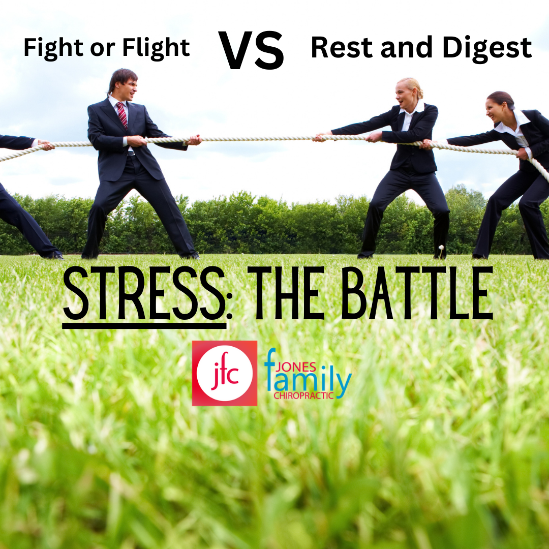 Read more about the article Understand Your Nervous System: The “Fight or Flight” vs “Rest and Digest” Modes for Better Health – Dr. Jason Jones Elizabeth City NC, Chiropractor